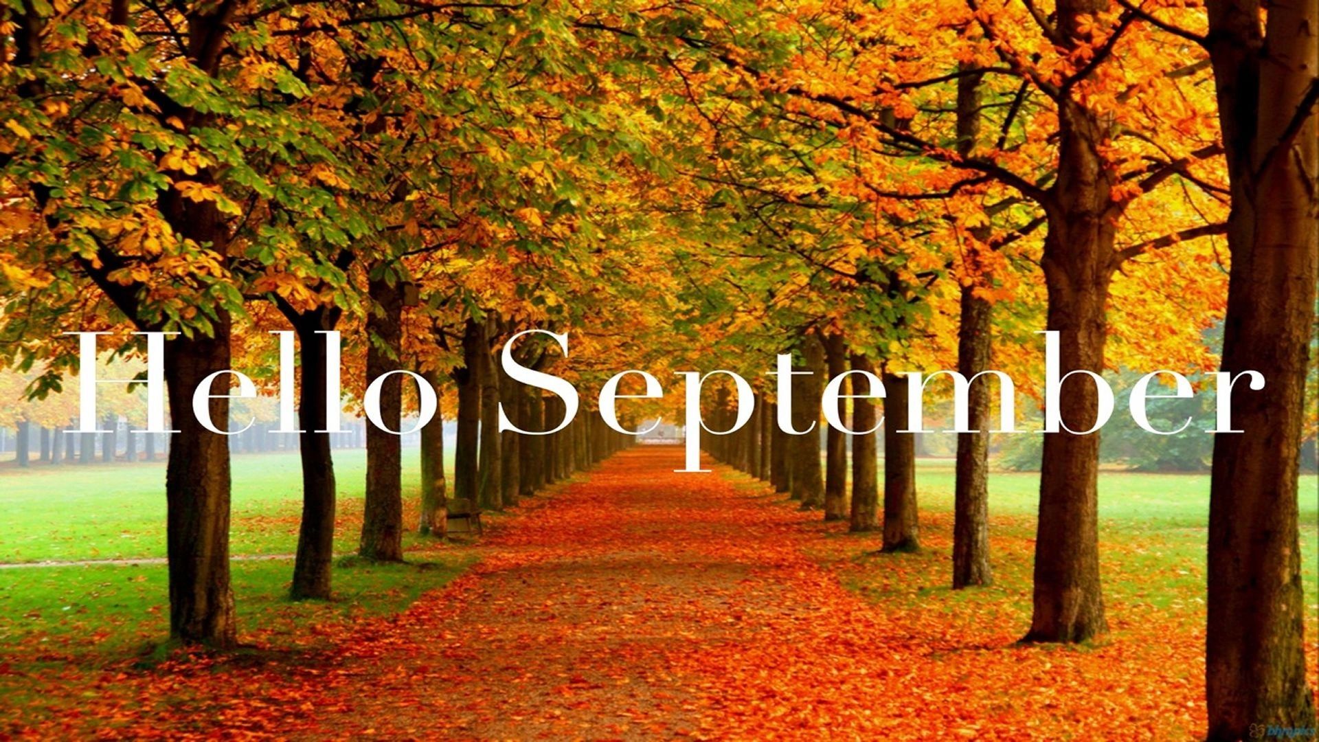 SEPTEMBER Pop by Ideas & Downloadable Tags